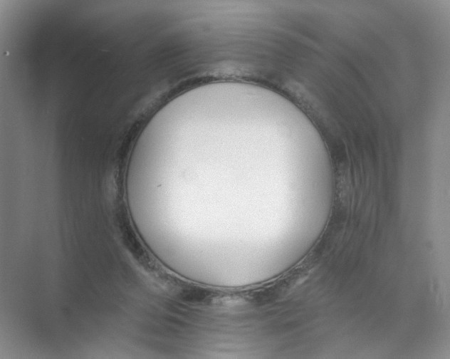 X0000074040208200609182001