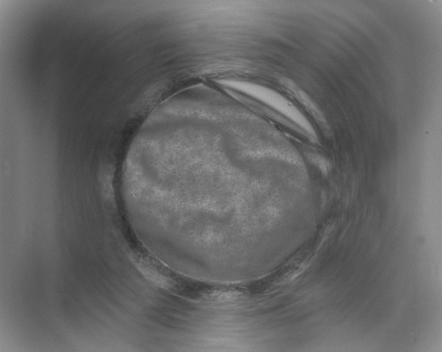 X0000074040209200609182001