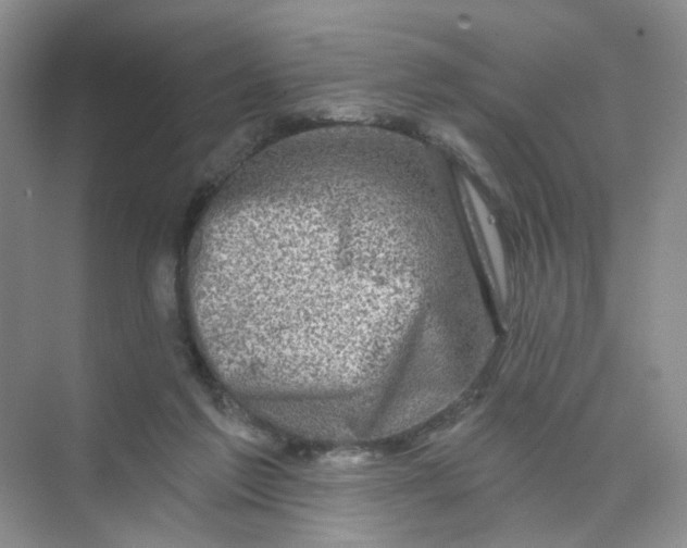 X0000074040213200609182001