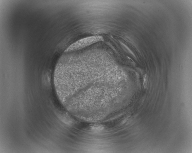 X0000074040214200609182001