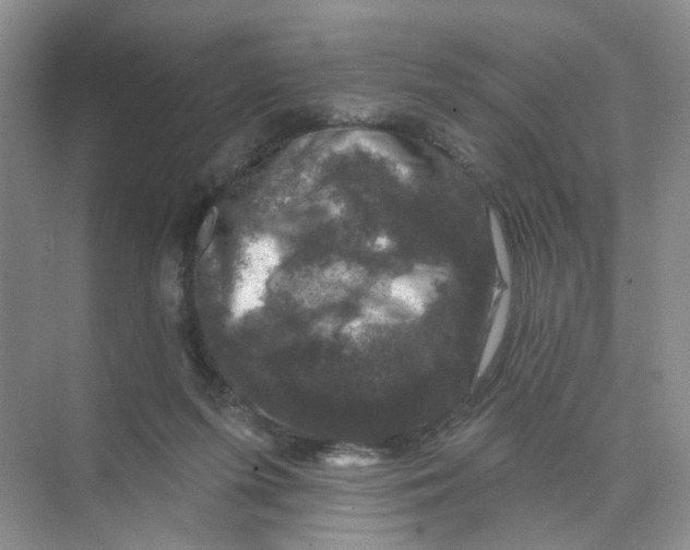 X0000074040215200609182001