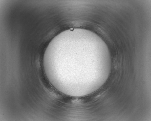 X0000074040216200609182001