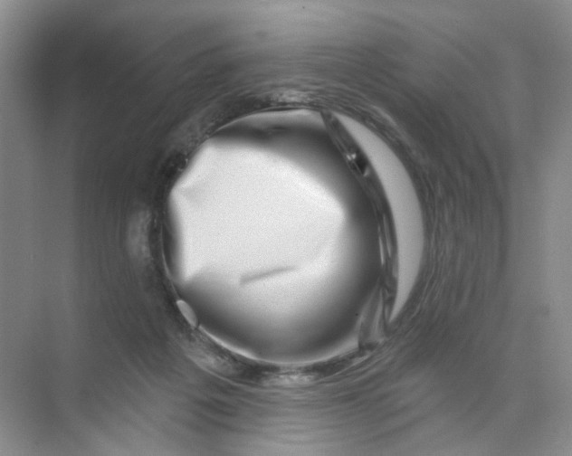 X0000074040217200609182001