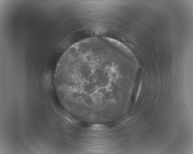 X0000074040222200609182001