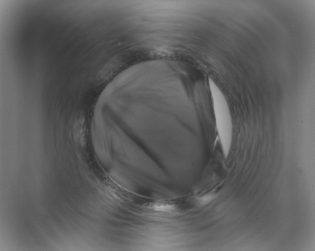 X0000074040223200609182001