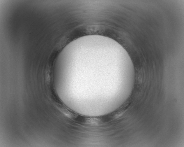 X0000074040226200609182001