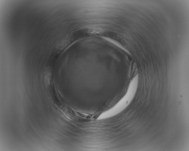 X0000074040227200609182001