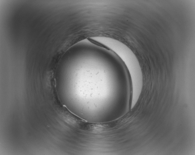 X0000074040229200609182001