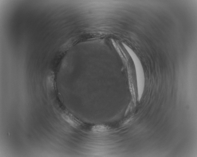 X0000074040231200609182001