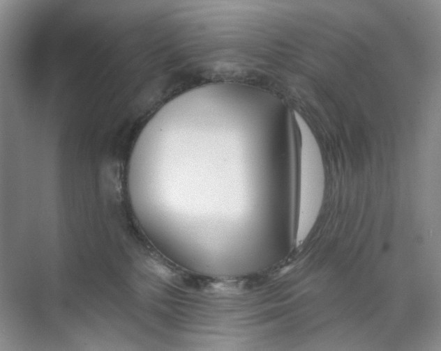 X0000074040232200609182001