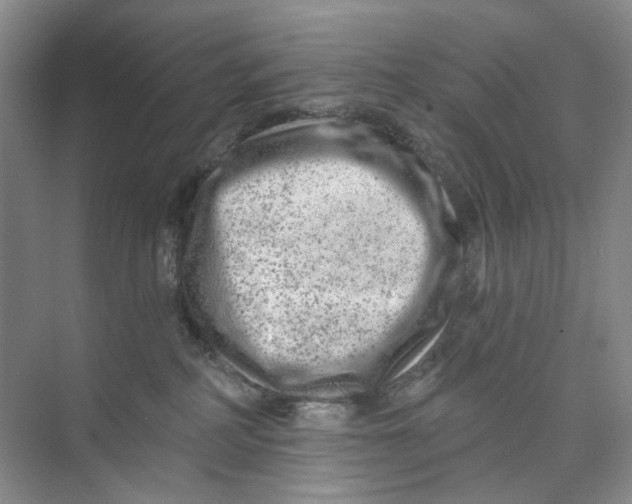 X0000074040234200609182000