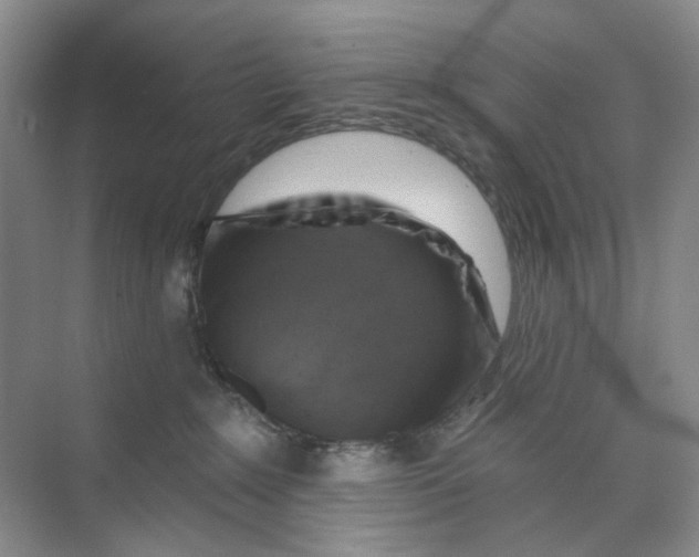 X0000074040235200609182000