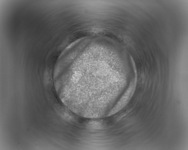 X0000074040236200609182000