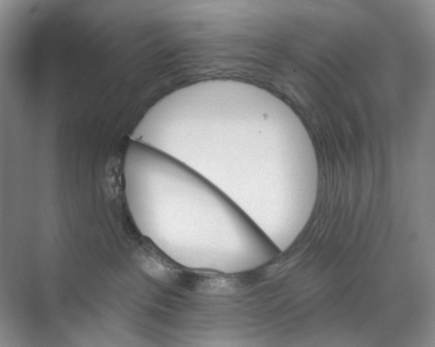 X0000074040237200609182000