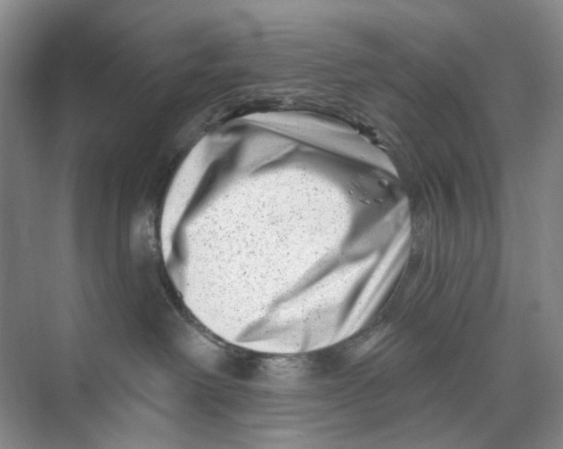 X0000074040238200609182000