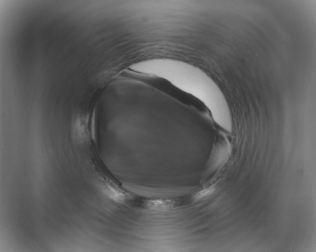 X0000074040239200609182000