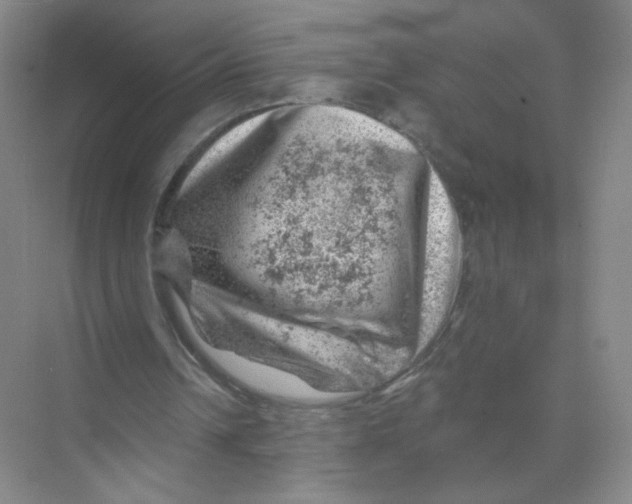 X0000074040242200609182000