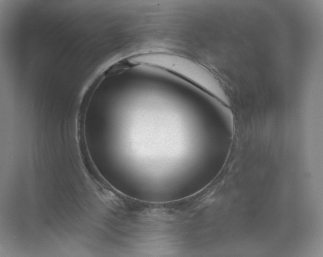 X0000074040244200609182000