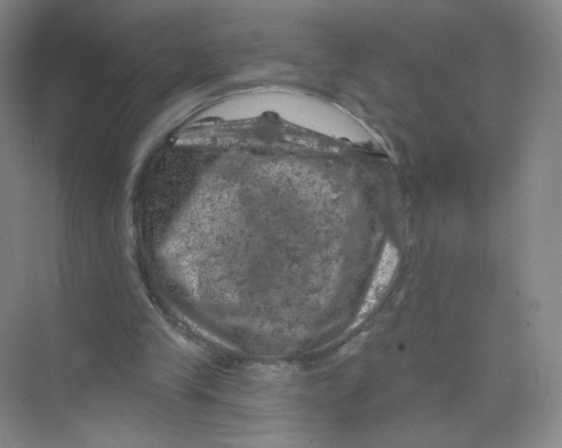 X0000074040245200609182000