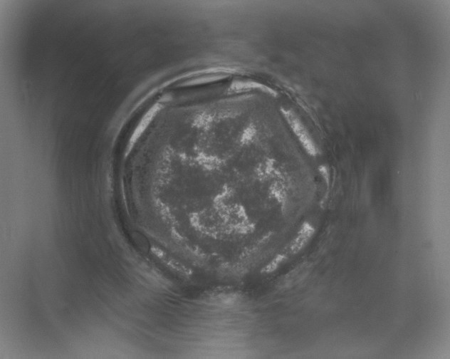 X0000074040247200609182000