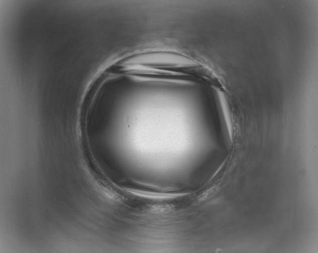 X0000074040248200609182000