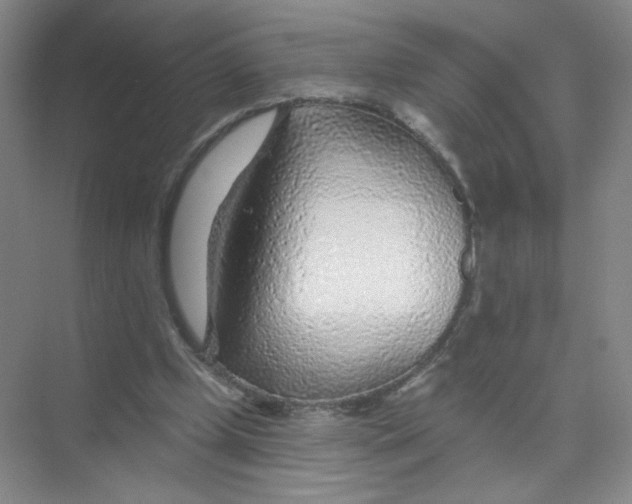 X0000074040249200609182000