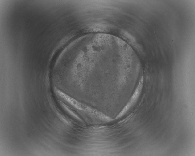 X0000074040250200609182000