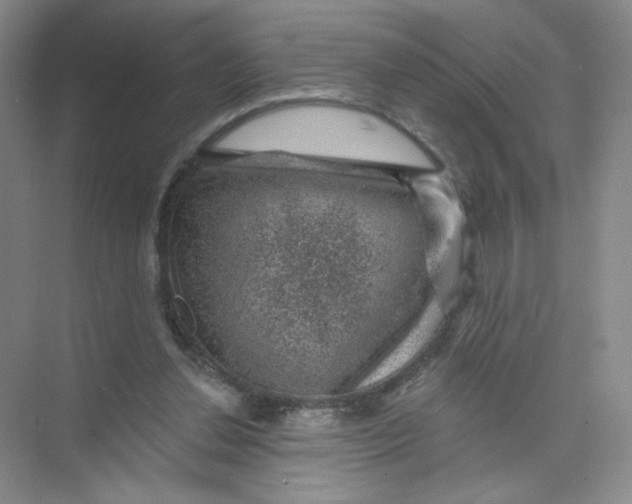 X0000074040252200609182000