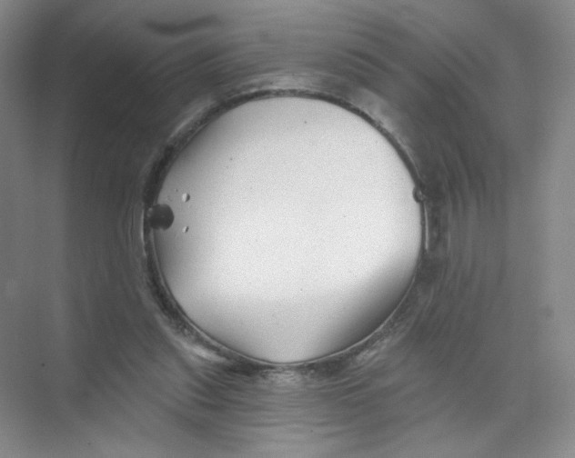 X0000074040253200609182000