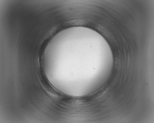 X0000074040254200609182000