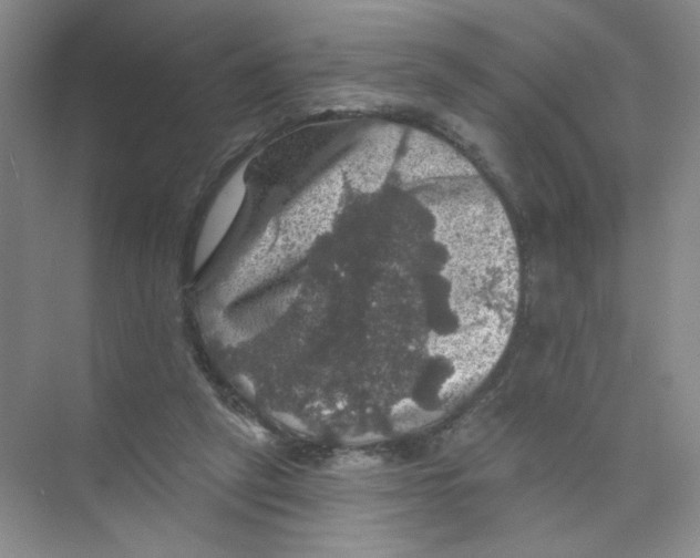 X0000074040257200609182000