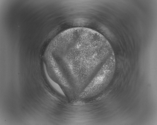 X0000074040258200609182000