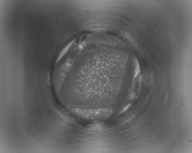 X0000074040259200609182000