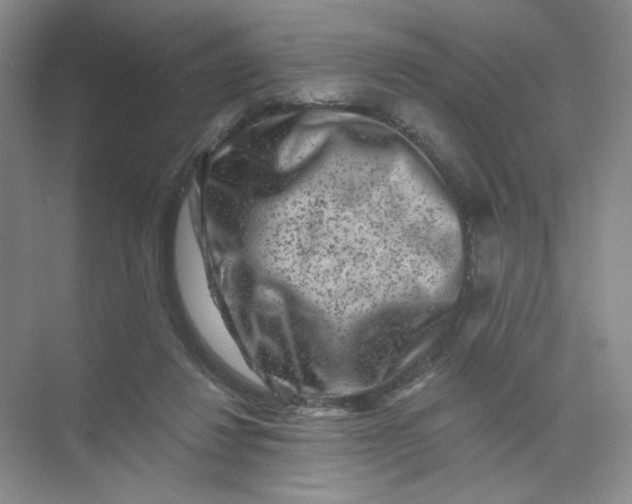 X0000074040260200609182000