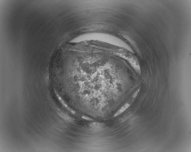 X0000074040261200609182000