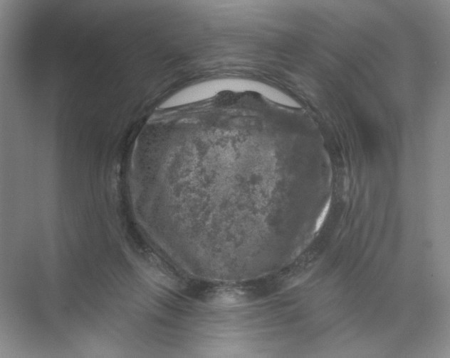 X0000074040263200609182000