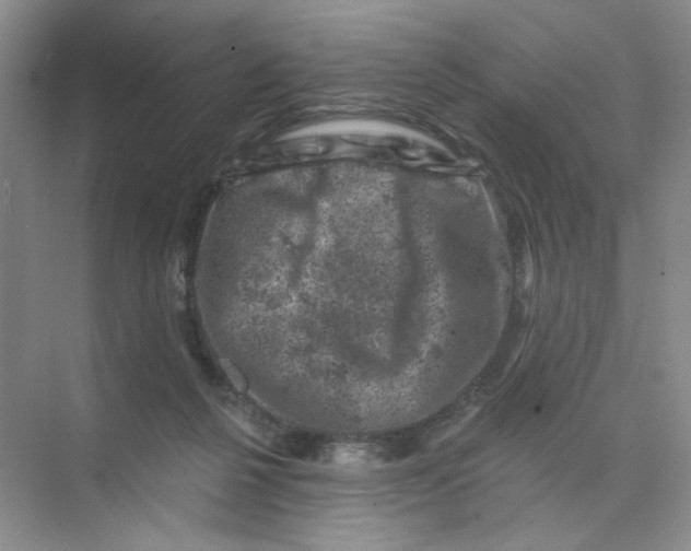 X0000074040264200609182000