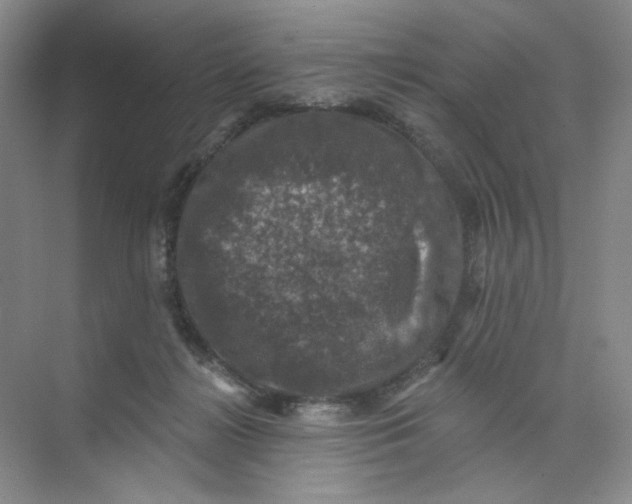 X0000074040268200609182000