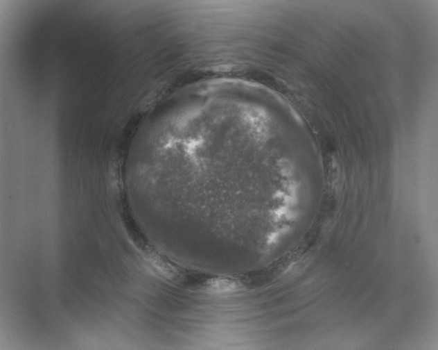 X0000074040272200609182000