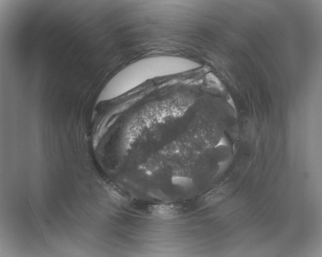 X0000074040273200609182000