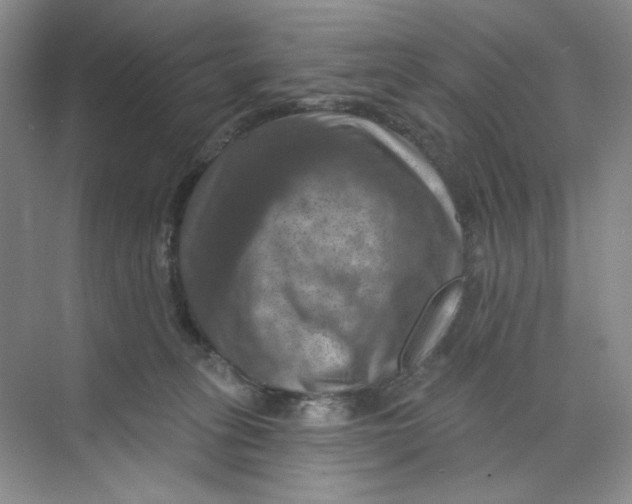 X0000074040275200609182000