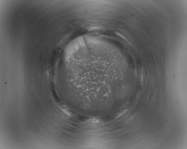 X0000074040276200609182000