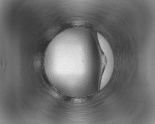 X0000074040277200609182000