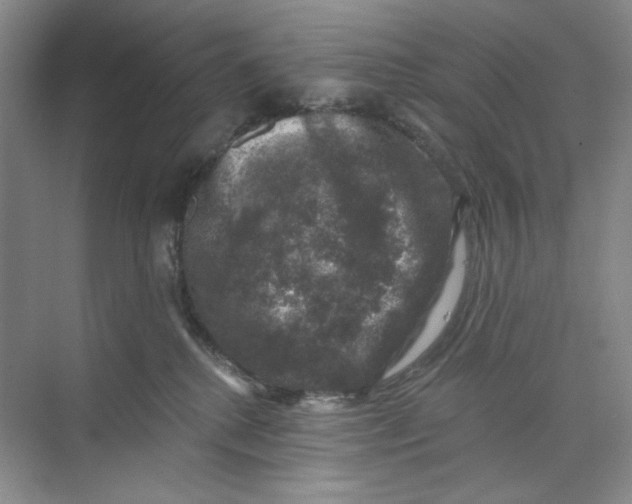 X0000074040280200609182000