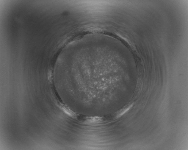 X0000074040288200609182000