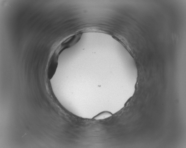 X0000074040289200609182000