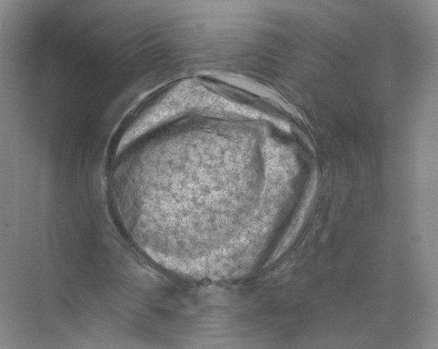 X0000074040290200609181959