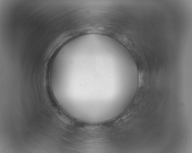 X0000074040291200609181959