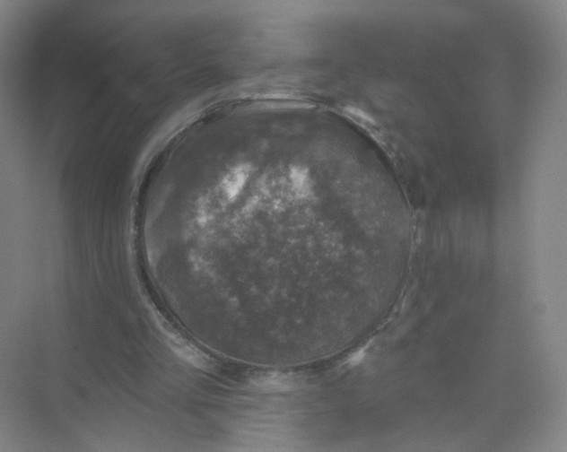 X0000074040293200609181959