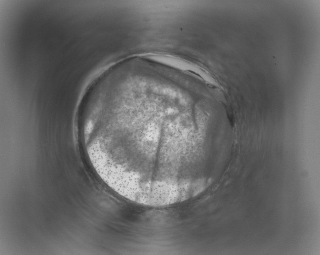 X0000074040294200609181959